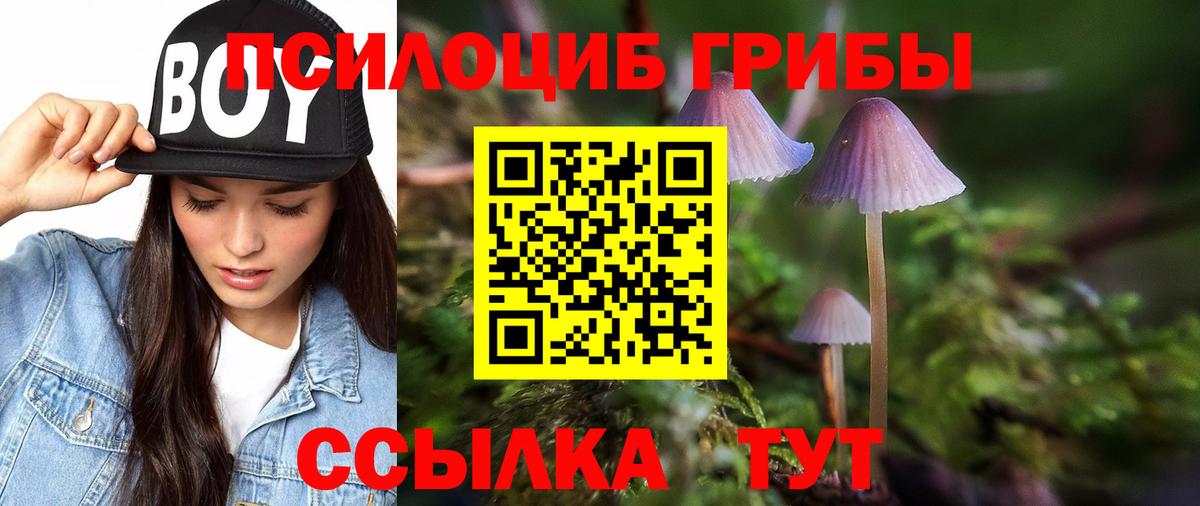 Псилоцибиновые грибы Cubensis  Вход с VPN  Корсаков 